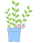 �N���b�N���ĉ������B