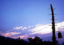 �N���b�N���Ă��������B