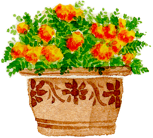 �N���b�N���Ă��������B